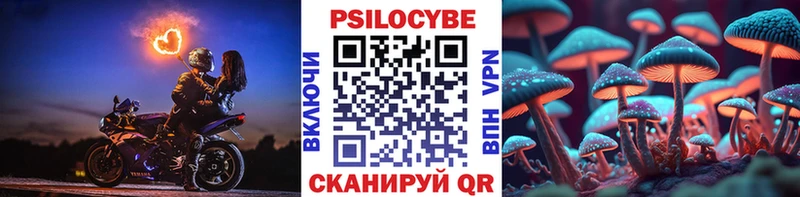 Галлюциногенные грибы прущие грибы  Новотитаровская 